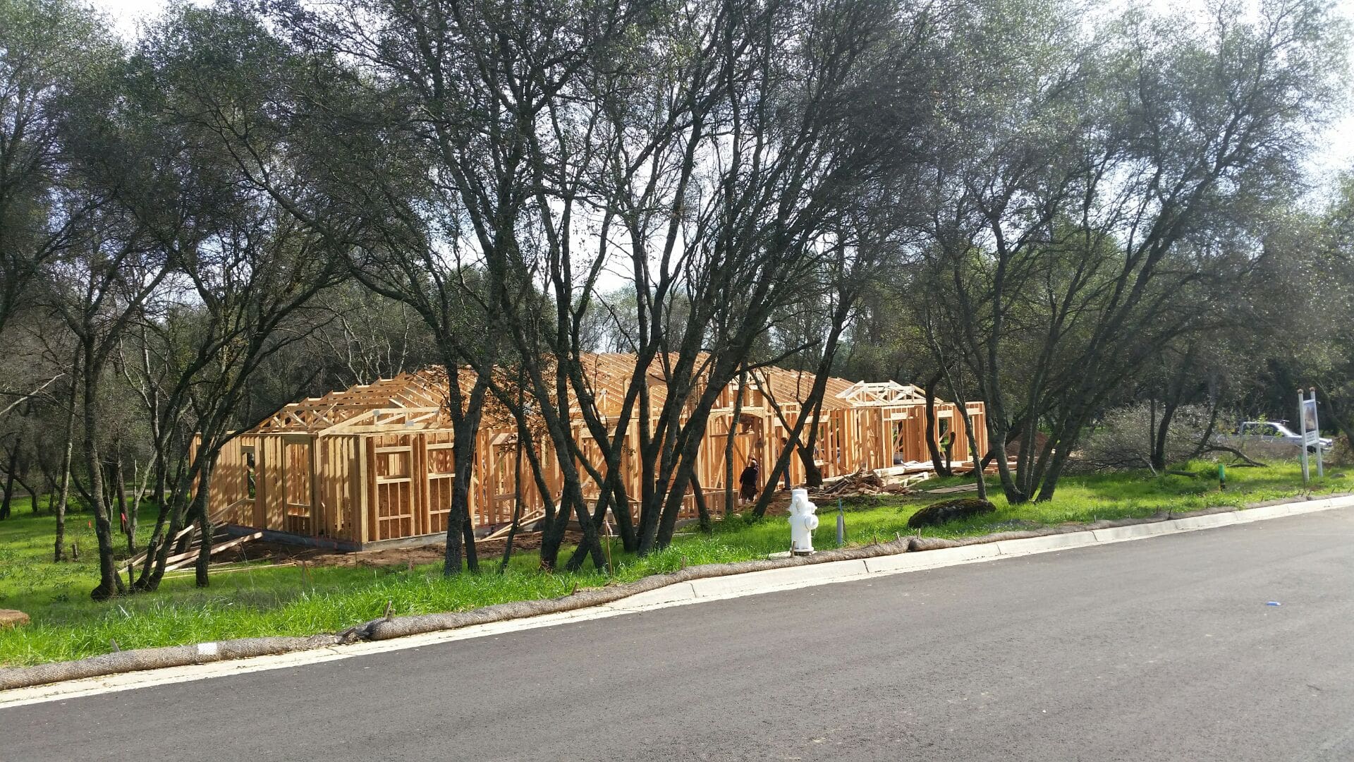 Texas Hill Country neighborhood with custom homes and oak trees